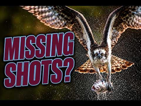 Stop Blaming Your Autofocus!