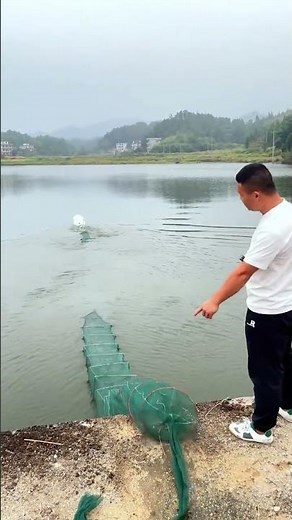 The process of catching fish with a remote controlled electric net casting boat