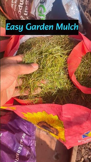 How To Make Free Garden Mulch At Home