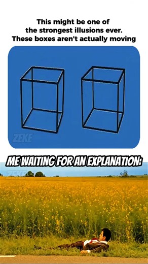 #smallcreator 🟦