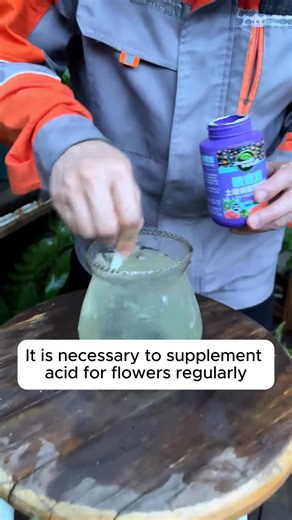 tips for plant care #backyardgardening #gardeninglife #vegetablegardening #vegetablegarden #gardeningtips #gardeninglove #organicgardening #gardensofinstagram #gardenideas #urbangardening #gardeningistherapy #gardeninggoals #homegardening #gardeninspiration #lovegardening #gardeningisfun #countrygarden #veggiegarden #happygardening | Gardening tips