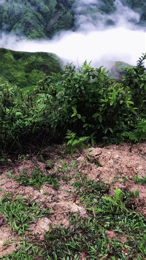 Một buổi sáng đẹp trời 🥰#xu_huong #tik_tok #sangmay#chillchill