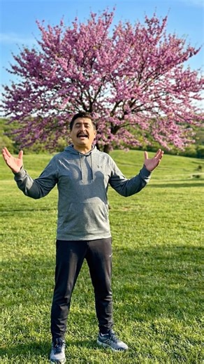 HAKA World Plants on Instagram: "THE MAGNIFICENCE OF THE EUROPAN CERCIS OR JUDAS TREE, WHICH DOES NOT LIKE WINTER #plants #flowers #nature #plantlover #naturelovers"