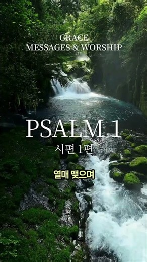 [CCM] 시냇가에 심은 나무가 철을 따라 열매를 맺으며