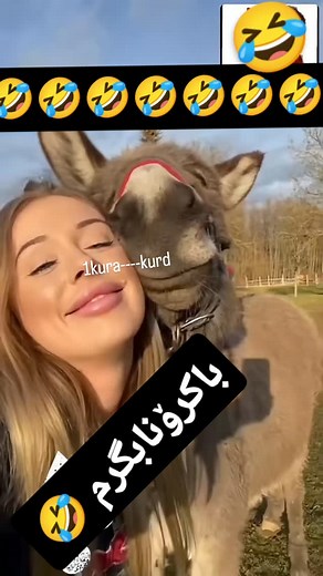 ‎کــوڕە کـورد‎ on Instagram‎: "#سلێمانی #سردشت #سنندج #مریوان #بوکان #شنو #همدان #هەولێر #دهوك #زاخو #قطر #چرم #پاوە #مەریوان #sna #mhabad #سنە_دهگلان_قروه_سقز_دیواندره_مریوان_تکاب_سنه_شار_سنە_شهر_سنندج_بیجار_جوانڕۆ_جوانرود_کامیاران_سنقر_سڵێمانی_شنو_سەلاسی_باوەجانێ_ثلاث_شهر_کامیاران_مەریوا #جوانڕۆ #مهاباد #سنە #سقز"‎