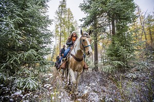 How Kalispell, Montana, Does Winter | Kalispell