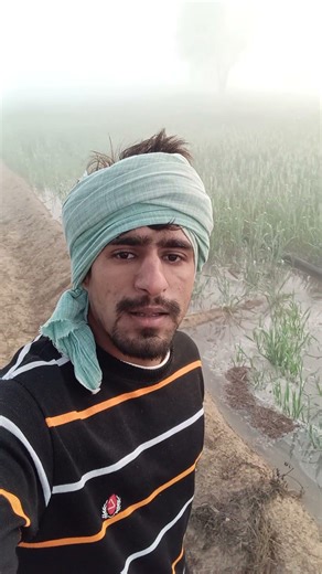 ticket from dhanda nyoliwala