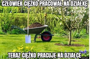Jest działka, są wakacje na RODos! Oto najśmieszniejsze memy o działkowcach i modzie na ogródki działkowe!