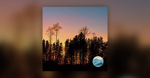 Night Cicadas: 30 Minutes of Soothing Insect Chorus for Sleep & Stillness - Listening Well Sounds For Sleep