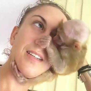 Traumatized Baby Monkey Attaches Himself to His Rescuer's Head