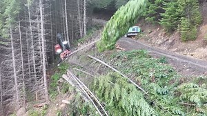 5.2K views · 283 reactions | @martintimberharvesting droppin’ the  In his purpose built TL755D-WC hill slayin’ monster! #timberpro #logging #fellerbuncher #tetheredlogging #yarderlogging #yarder #logginglife | TimberPro Inc | Facebook