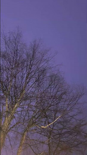 Lightnings On A Rainy Night And Wind Chime Noises 3/11/26