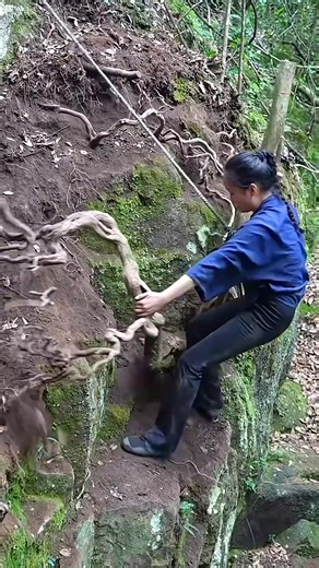 Essential Tips for Creating a Big Bonsai