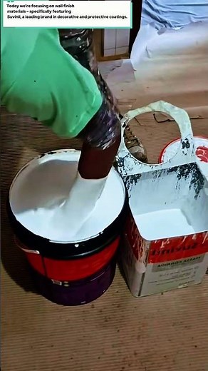 Suvinil Wall Finish Material - Educational Guide | Painting & Plastering Basics