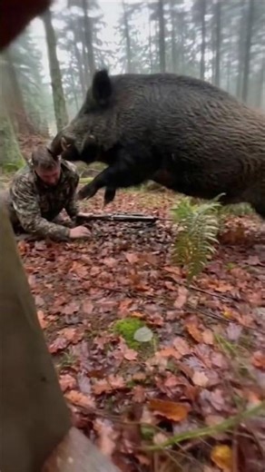 Hunter VS Wild Boar: FATAL ERROR! 🩸💀