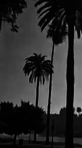 Oh, you fucking hate me?#chosenone #chosen #usa #fyp | Chosen 1