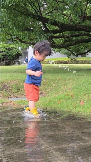 【水溜り】はじめての水溜まりに喜ぶ僕。 #1歳 #赤ちゃん #赤ちゃんのいる生活 #育児