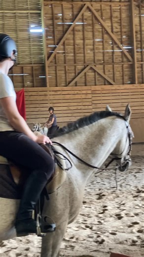 15 reactions | Premier petit saut.. | Cheval de Coeur | Facebook