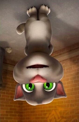 qwertyuiopasdfghjklzxcvbnm