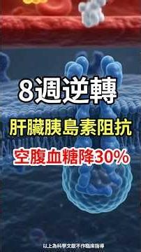 胰島素阻抗真的能逆轉？8週後，血糖與肝脂肪出現驚人變化 #胰島素 #胰島素阻抗 #糖尿病 #糖尿病前期 #肝臟胰島素阻抗 #空腹血糖 #減重