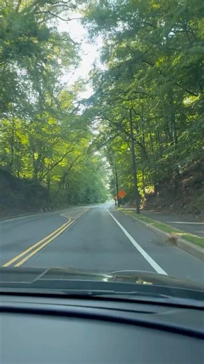 This Tree-Covered Road to Princeton Is Insane 🌳 #BeautifulDrives