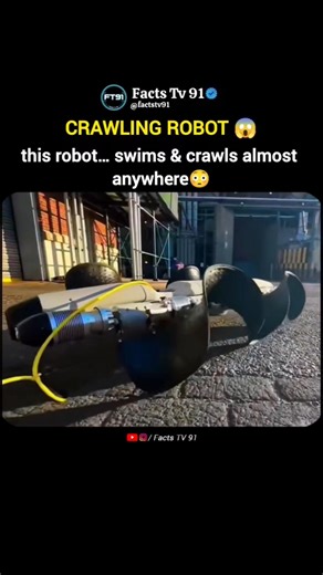 This Robot Can Go Anywhere 😳
