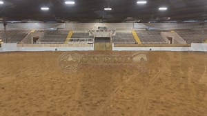 1.2K views | Lanie Petrol is the Southwest Reining Horse Association Futurity & Show Level 1 Green Reiner (1) co-champion. Lanie rode to the win on her trusty partner Xtra Miss Wimpy, a 9-year-old mare by Shiners Voodoo Dr and out of Little Smart Wimpy. Lanie was super happy with her run, excited to win, and so grateful for her parents’ help. Congratulations Lanie! | Tom McCutcheon's Virtual Horse Help | Facebook