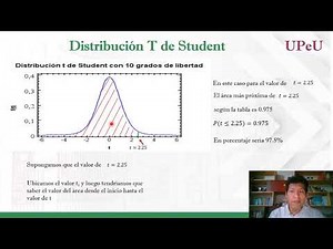 Distribución T de Student