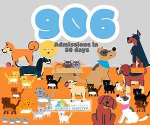 3.6K views · 23 reactions | Lake County, we need YOUR help! In...