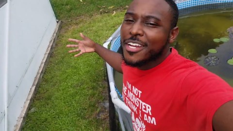 A baby puffer fish that won't eat gets introduced to live prey for the first time