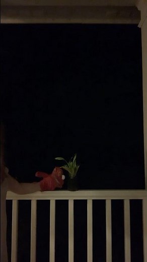 elmo world fireworks intro