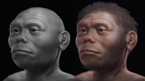 See the face of the 'Hobbit,' an extinct human relative