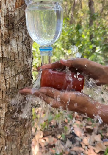 DIY Soap & Water Survival Kit