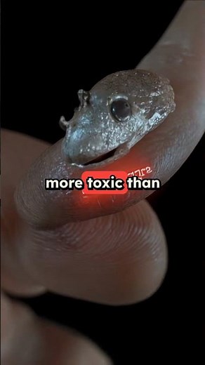 Polonium-210 Poison: The Deadly Secret Exposed