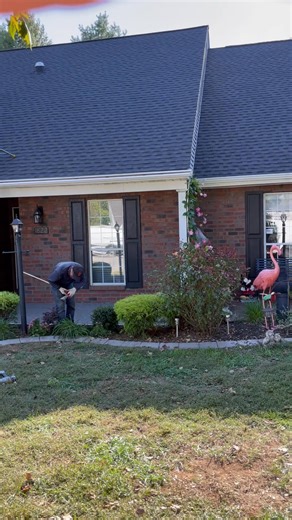 Eagle Roofing on Reels