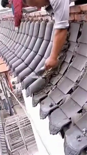 #foryou #foryoupage #tiktokofficialbangladesh #yppppppppppppppppppppppp #trending @TikTok @TikTok Bangladesh