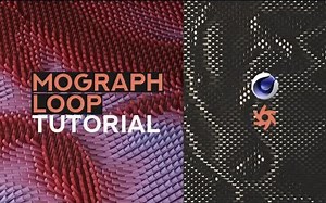 C4D&OC 使用MoGraph域制作循环动画