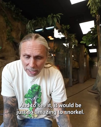 Will King Cobra eat it? #reels #kingcobra #reptiles | Brian Barczyk