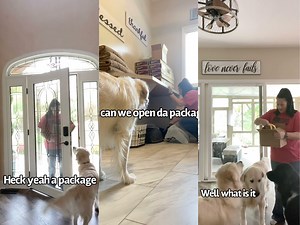 Dog gets a special package!! You dont wanna miss this :) (Click on the video to enlarge it to see all the subtitles) | Charlie The Golden