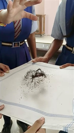 Einstein ka ‘spooky’ dream sach ho gya