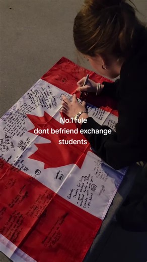 Understanding Exchange Student Dynamics and Relationships