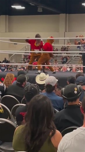 Tokyo Joshi Pro Wrestling combined combat and cuteness at SXSW