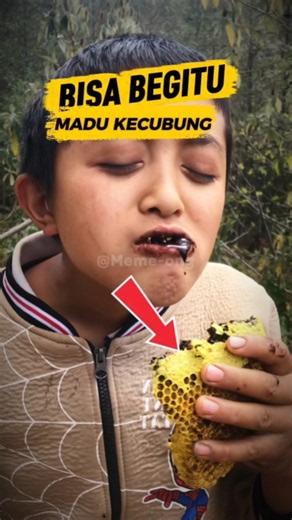 Madu ini Bisa Buat Halusinasi. #viral #faktaunik #shorts