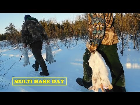 Snowshoe Hare Hunting | Multi Hare Day!
