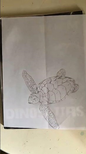 Watch me hand draw a Loggerhead sea turtle. #youngartist #handdrawn #Loggerheadseaturtle￼￼