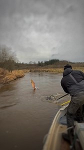 4K views · 4.5K reactions | • S A L M O • S A L A R • S K J E R N • Å • | Skjern River Guiding | Facebook
