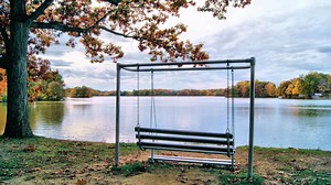 US Election: What are swing states?