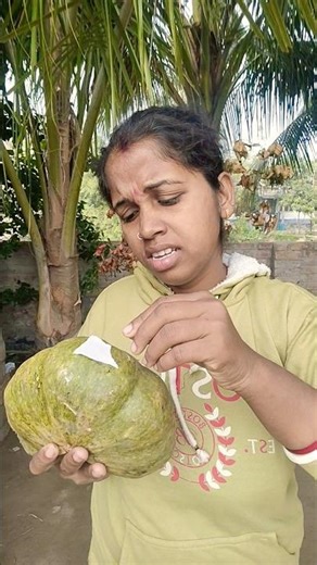 useful tips for you #bushcraft #camping#bushcraft #bushcraftsurvival #camping🫑🍓#p2821