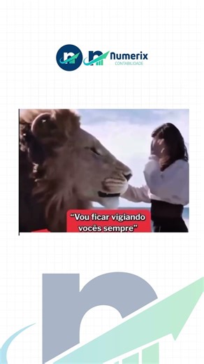 A declaração de imposto vem aí... #irpf2026 #memes