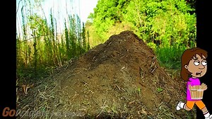 Dora Puts Bullet Ants on Ginas Chair/Grounded/Concussion Time